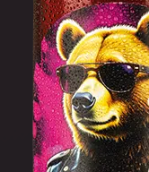 Cooler Bär